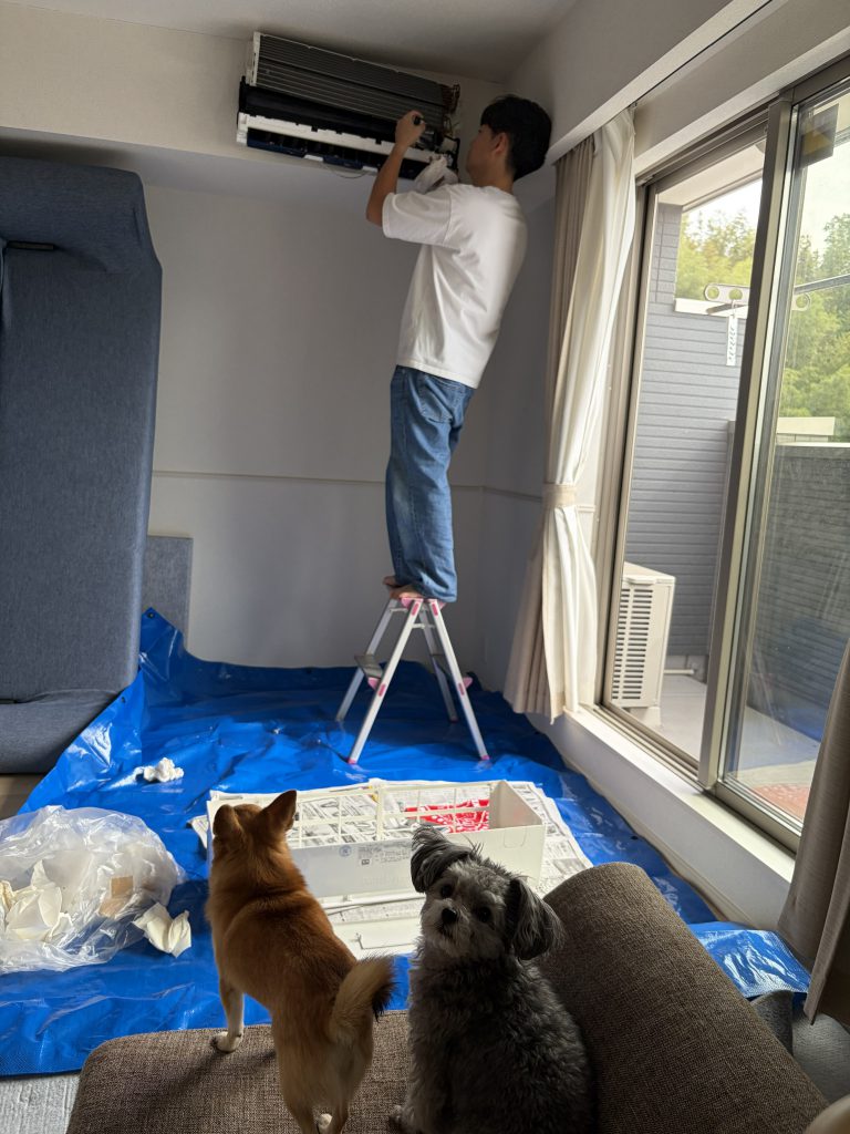 家も車も綺麗な空気