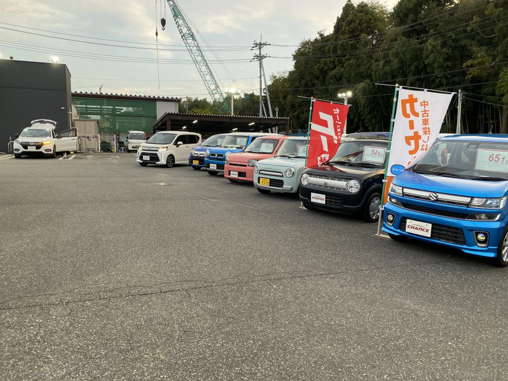 オススメのお出迎え