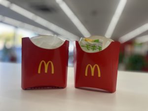 👀お子様目線🐶