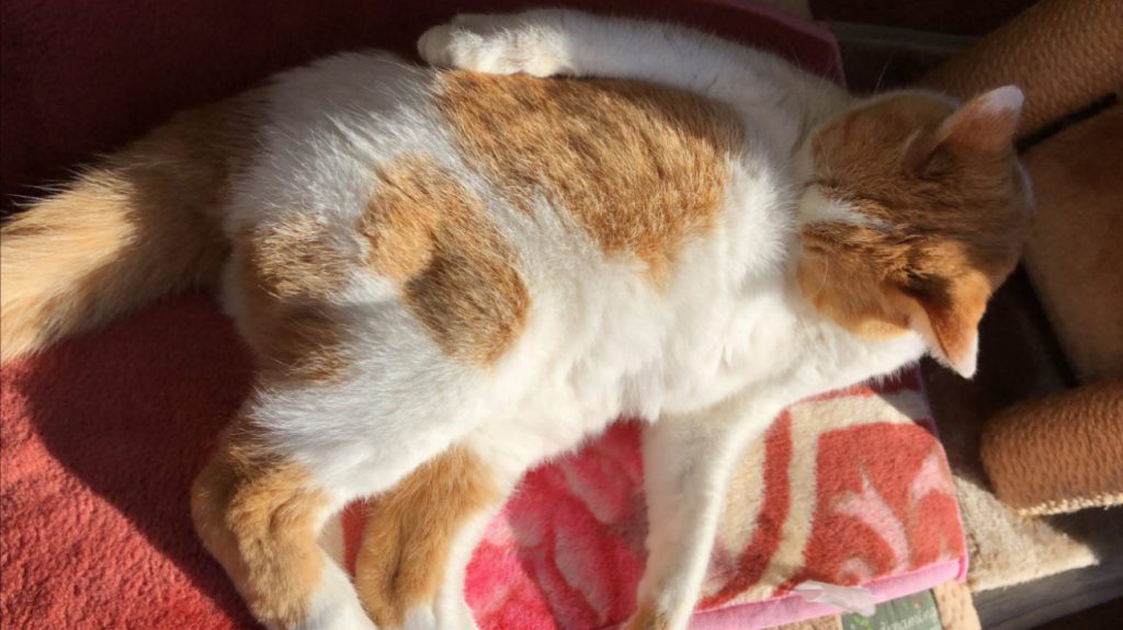 気を付けてください