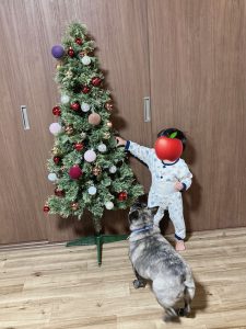 クリスマスツリー🎄