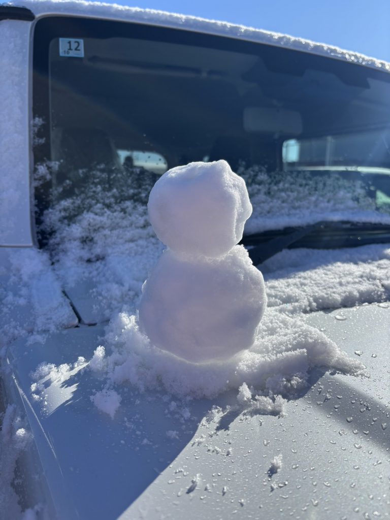 ✨雪✨