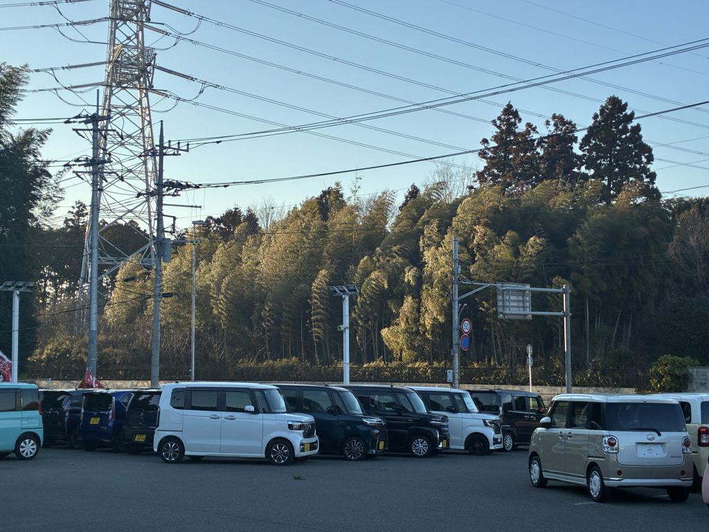 文豪