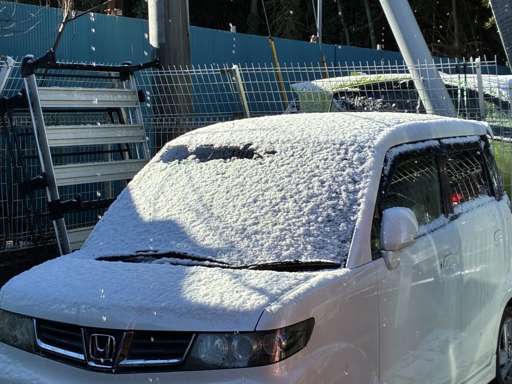 初雪