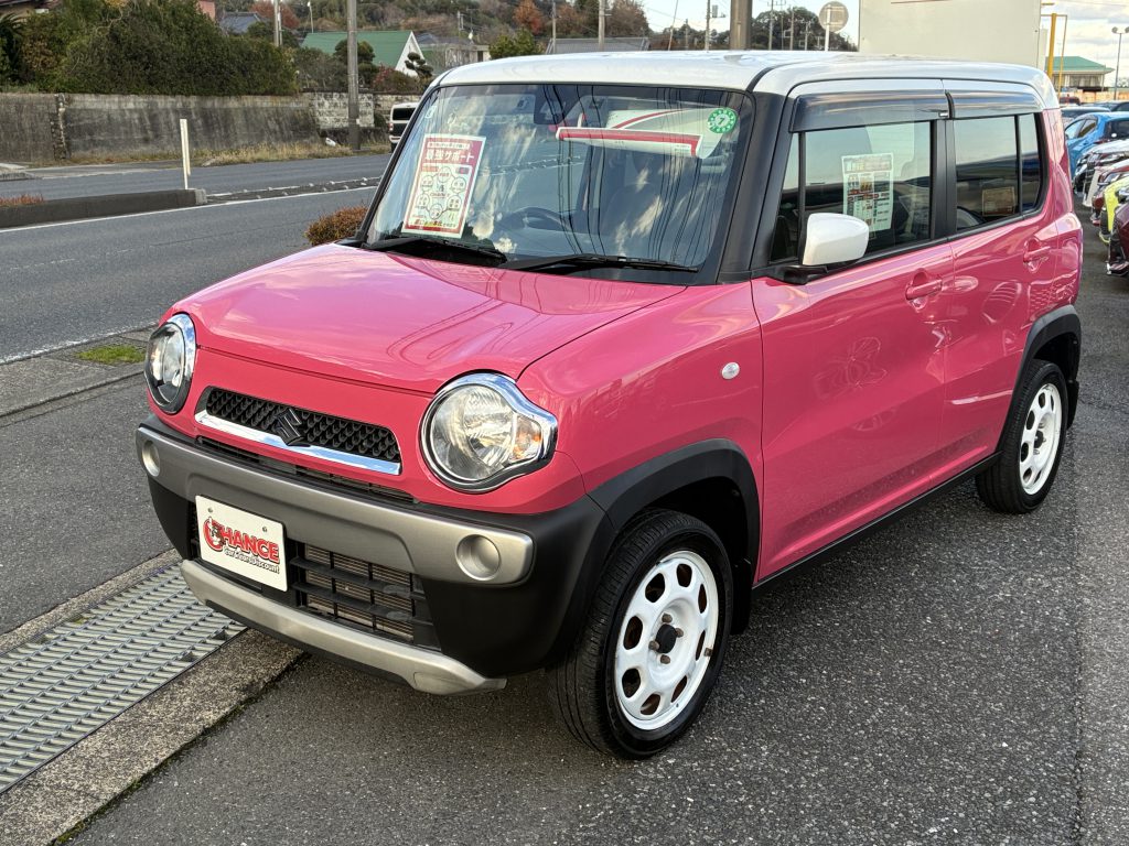 本日の１台💗
