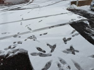 愛車も凍える「天使の囁き」にご用心