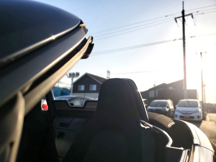 ぽかぽか陽気な3連休最終日🌞