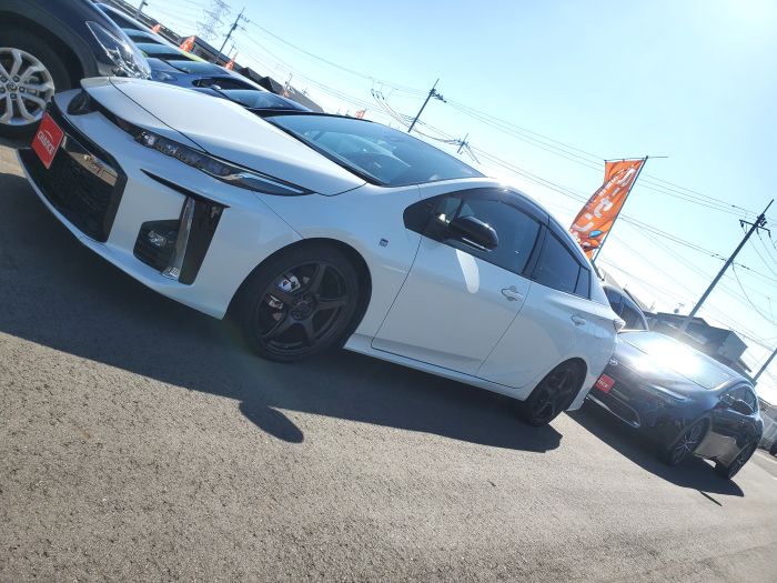 いろんな顔＼(゜ロ＼)(／ロ゜)／