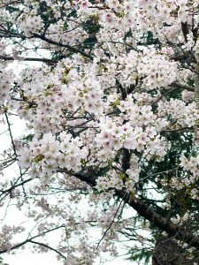 ☆あれれ？な☆