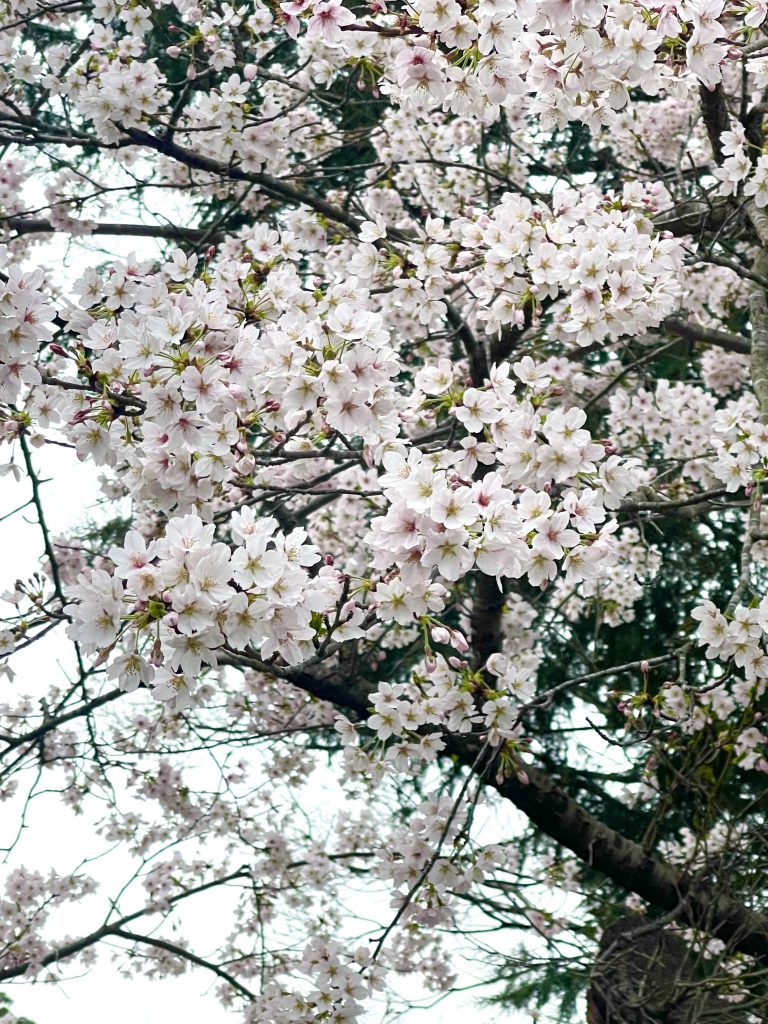 ☆あれれ？な☆