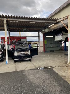 花粉にも負けず❕