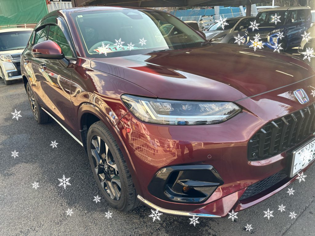 SUV✨増えてます。