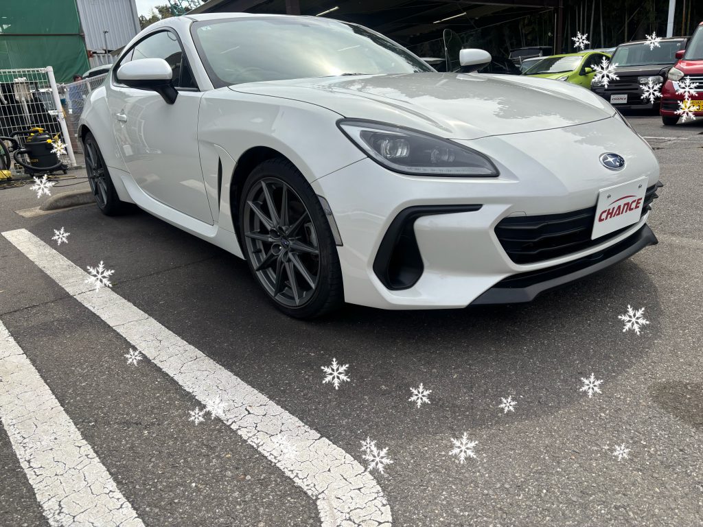 入庫ラッシュ✨です。