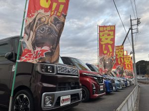 Mar.🎎　佐原店