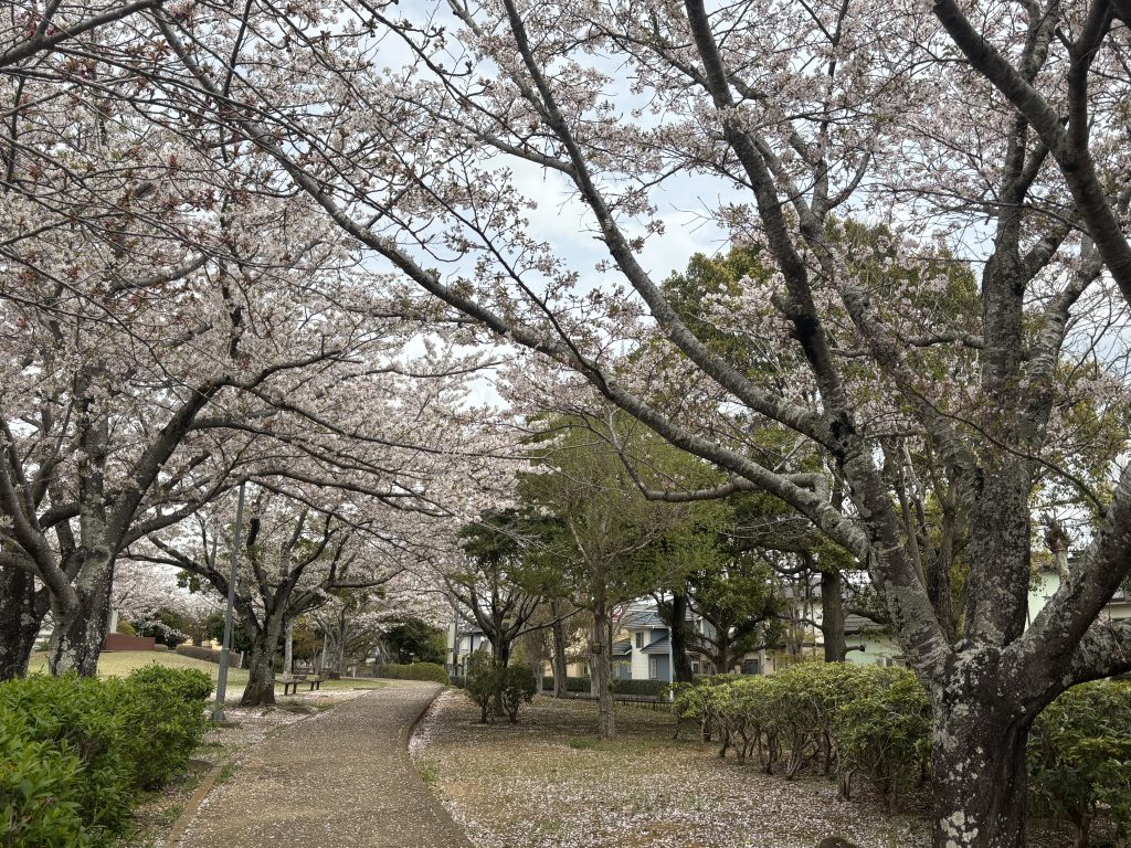 上質空間の✨ＳＵＶ