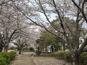 上質空間の✨ＳＵＶ