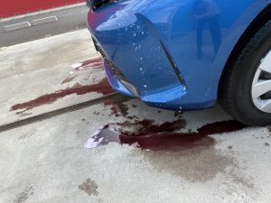 日々のメンテナンス