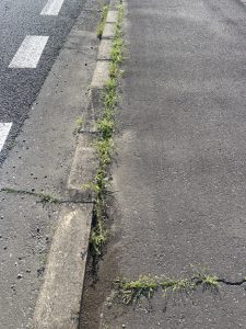 ☆つかの間の🌞☆