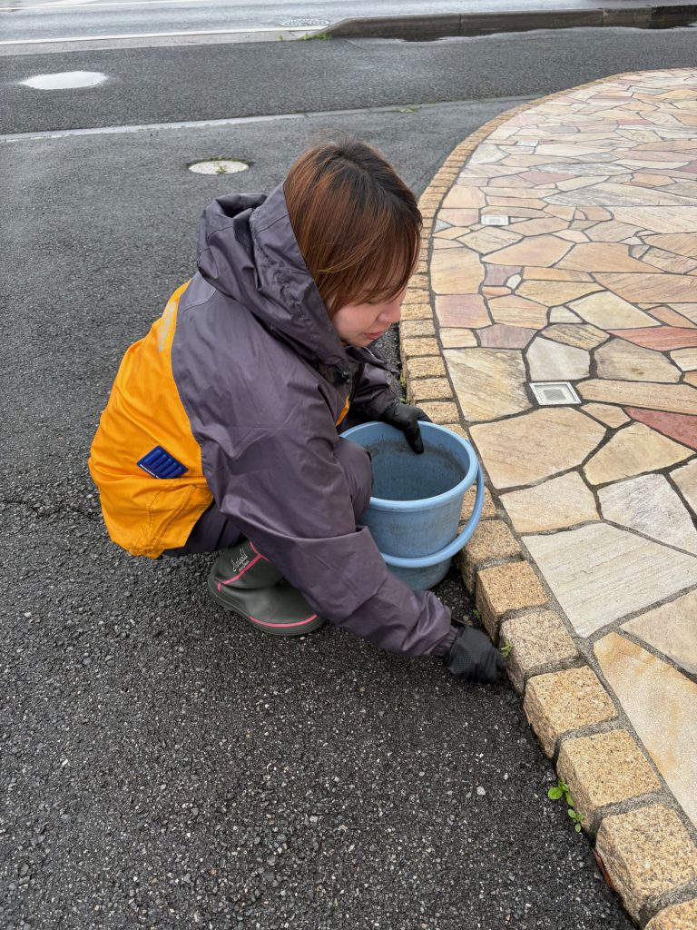 草むしり🍃