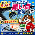 その黒い点、ただの模様じゃありません