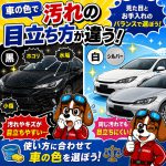 車の色で汚れの目立ち方が違う！