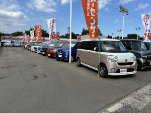 今日もいい相棒🚗