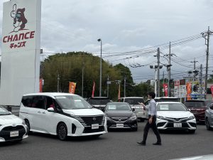 かわいい✨車増えました。