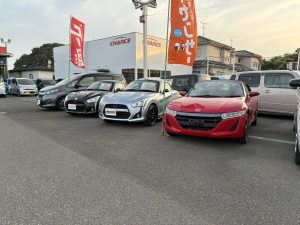 🎉新着情報🎉