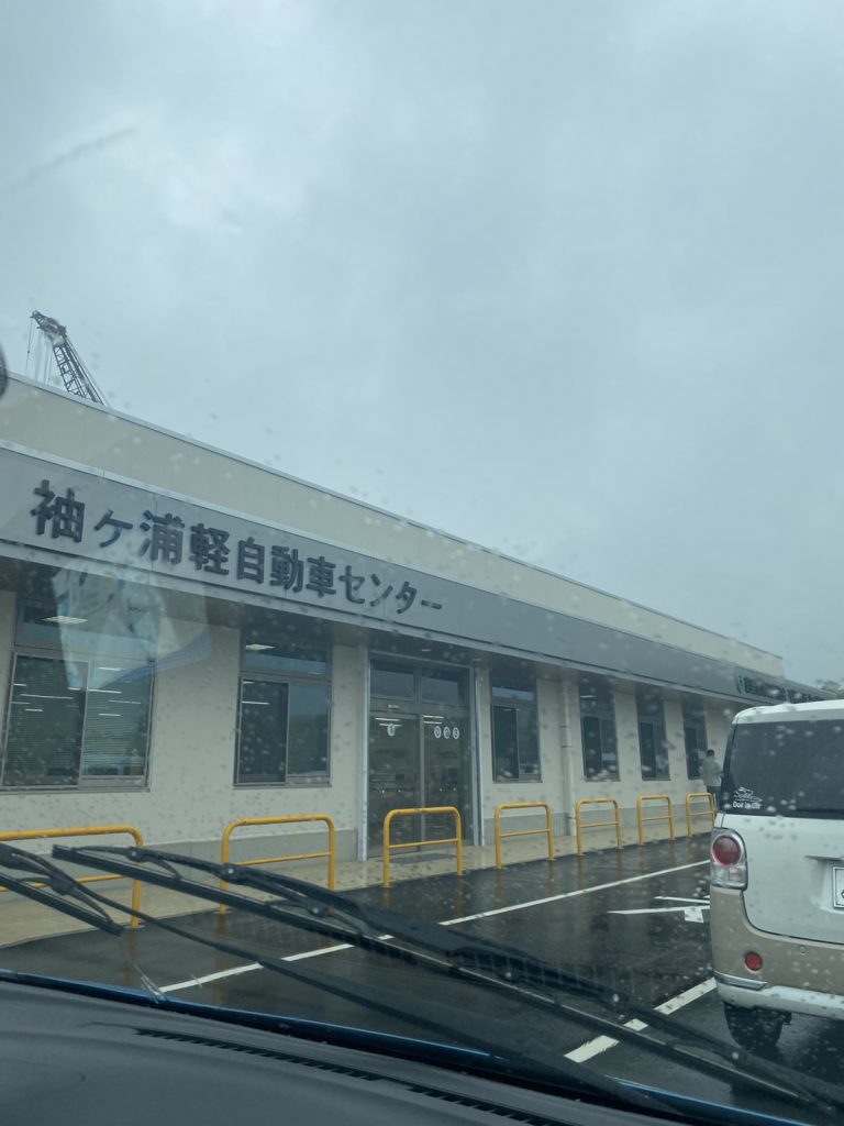 梅雨入り🐸☔
