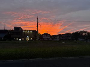 今日の一切れ