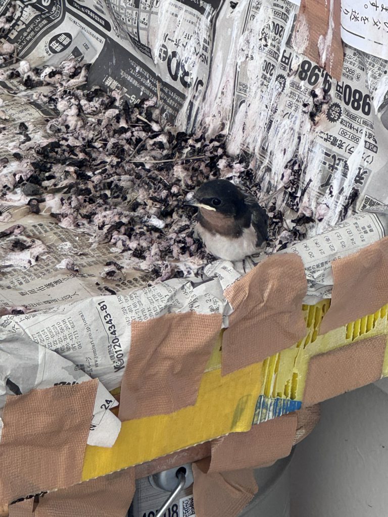 佐原店の店舗ブログ