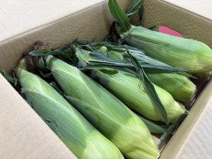 夏と言えば🌻