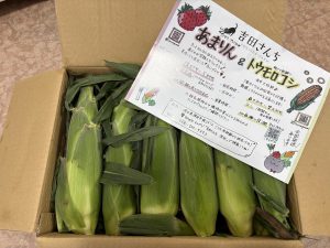 トウモロコシーー🌽
