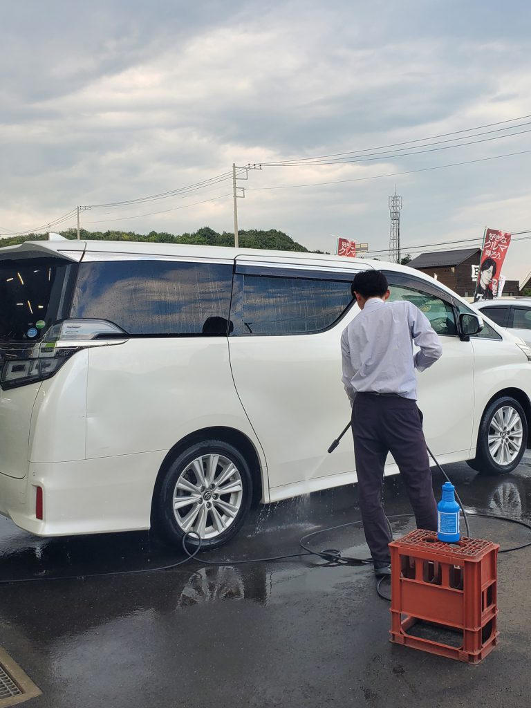 もう８月🌻
