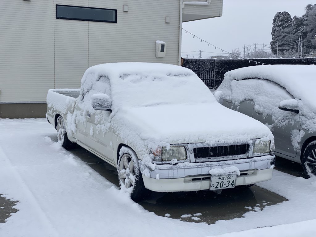 夏こそ最強保証