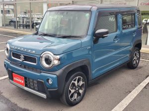 遊べる軽🚙