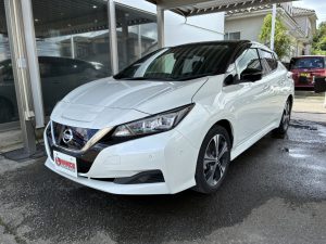 🌿日産リーフ🌿