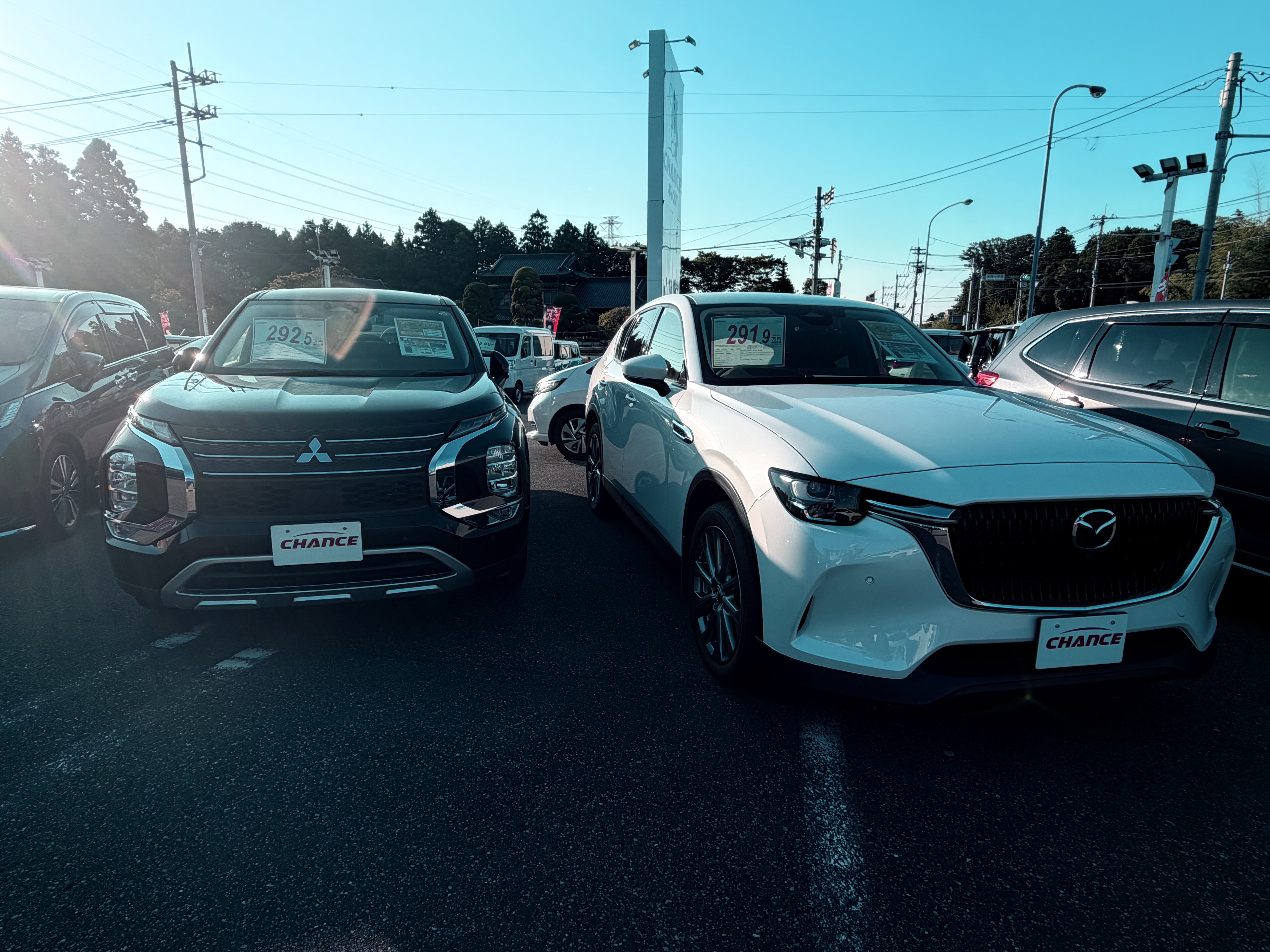 推しの車
