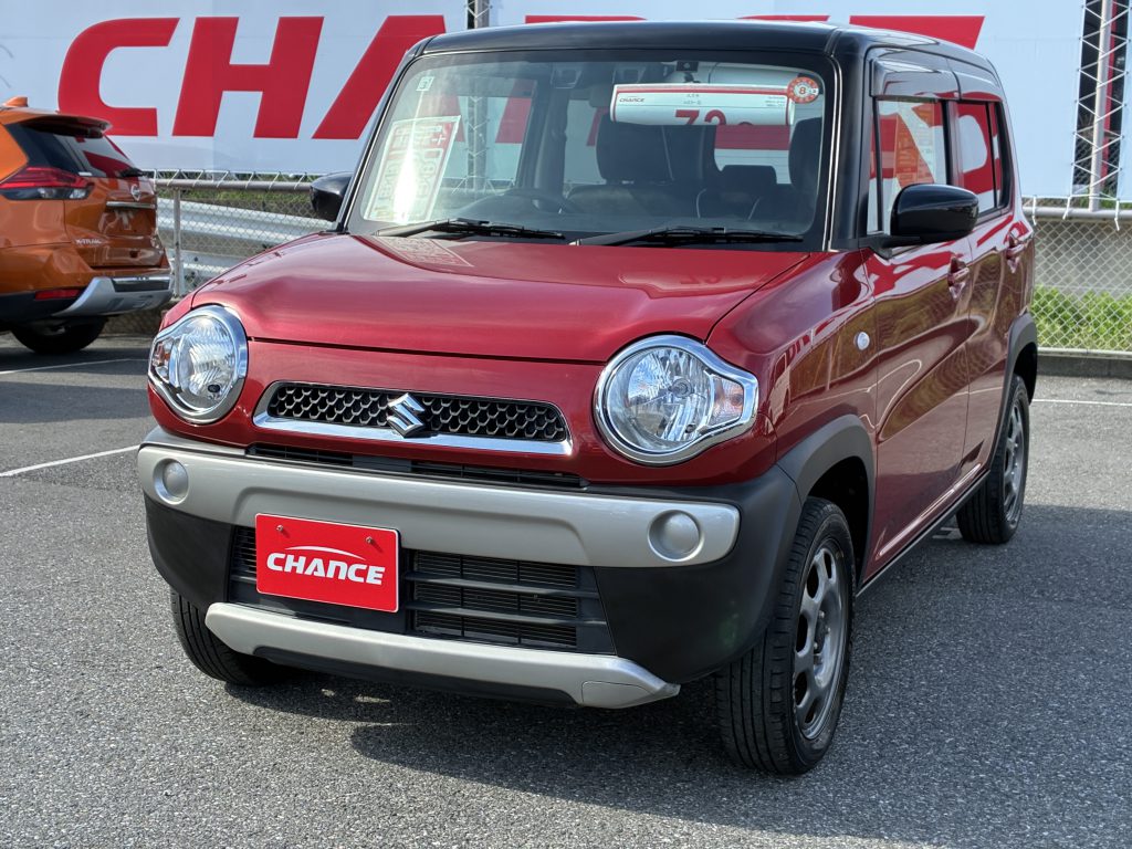 本日の🚘