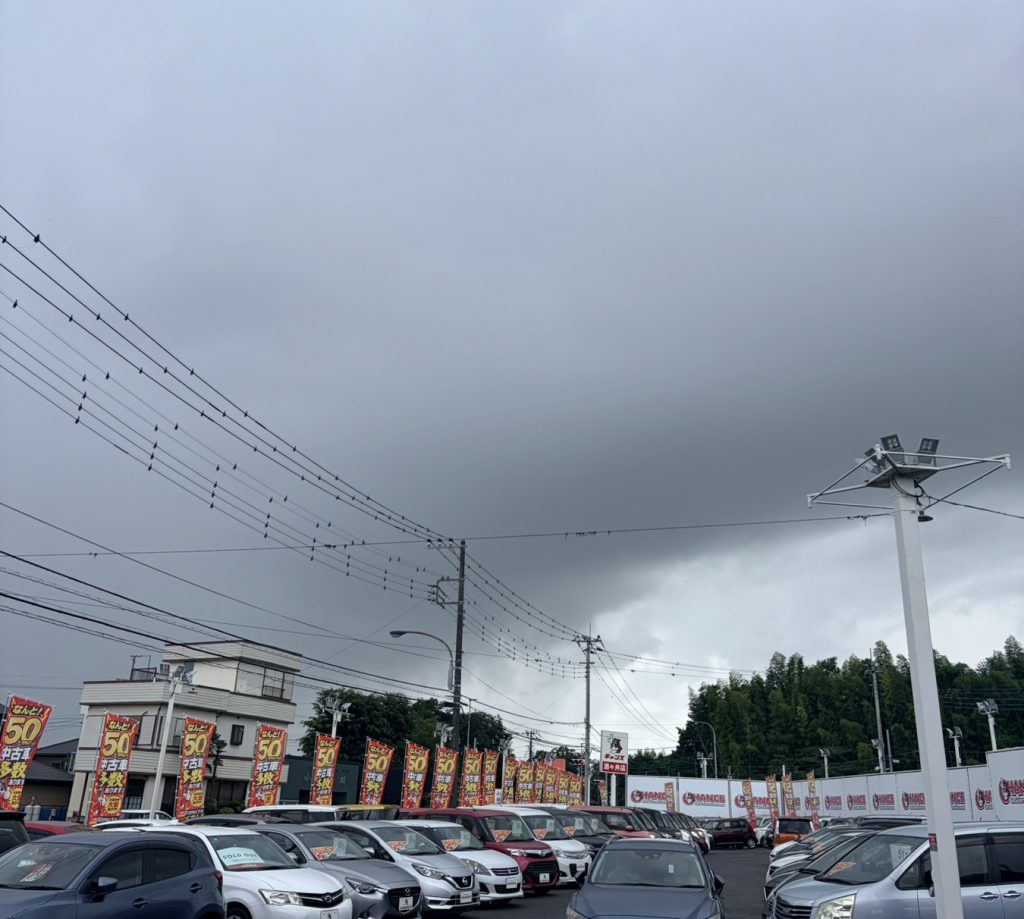 ☆ゴロゴロし始めました⚡☆