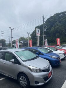 本日営業中🐶📢