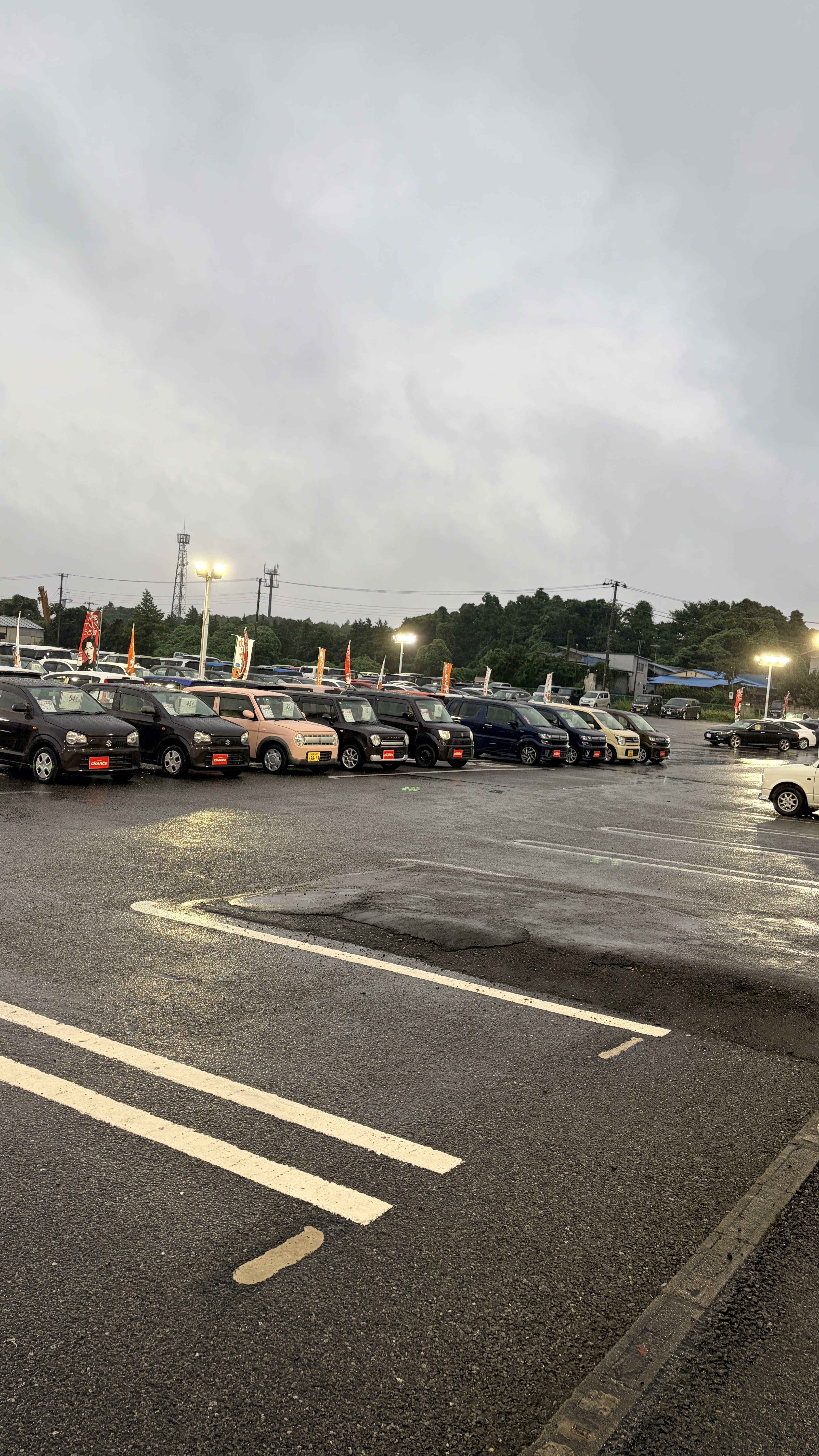明日は大雨予報…☔