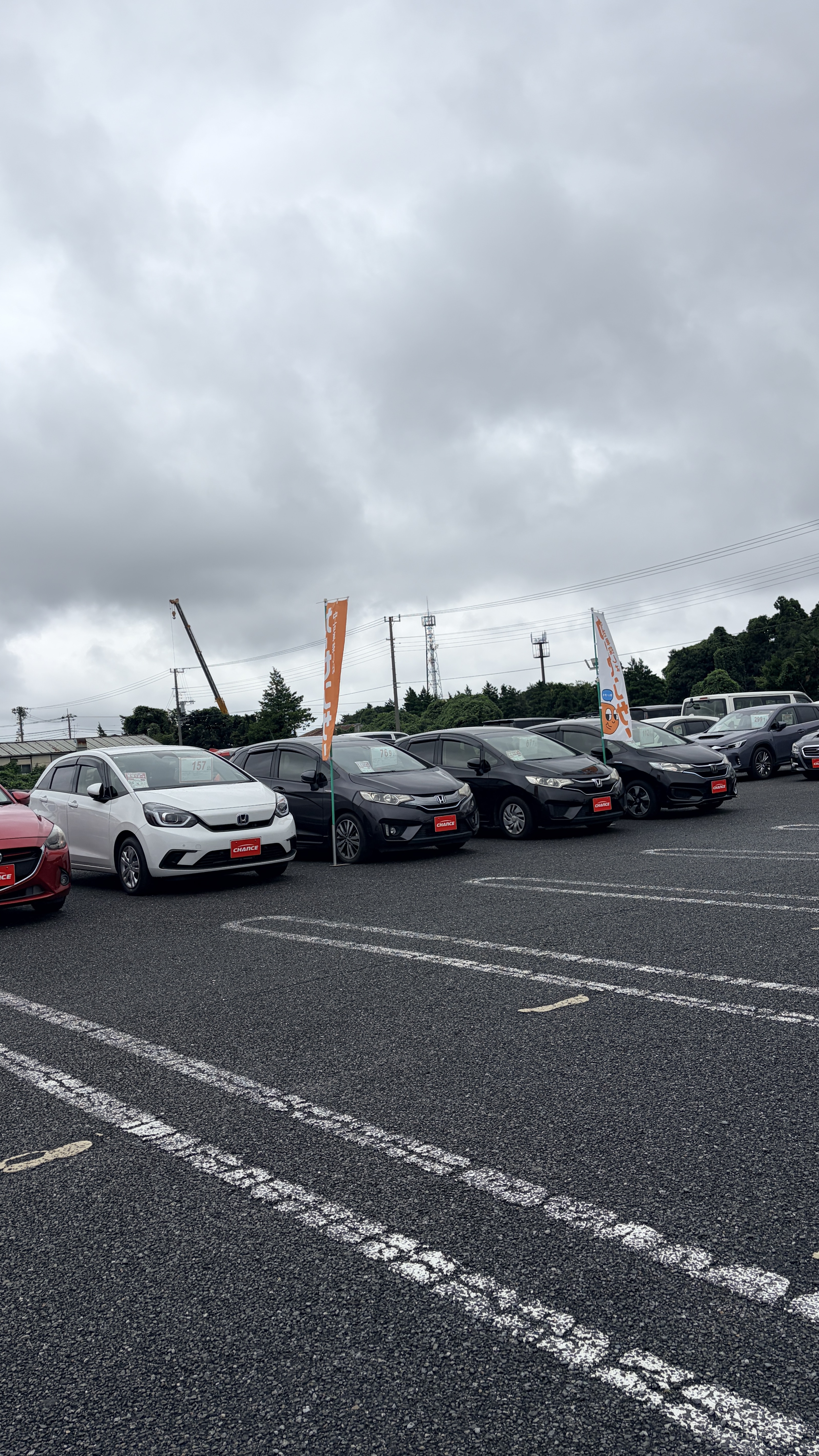 次の愛車、どこで買おう？とお悩みの方へ✨