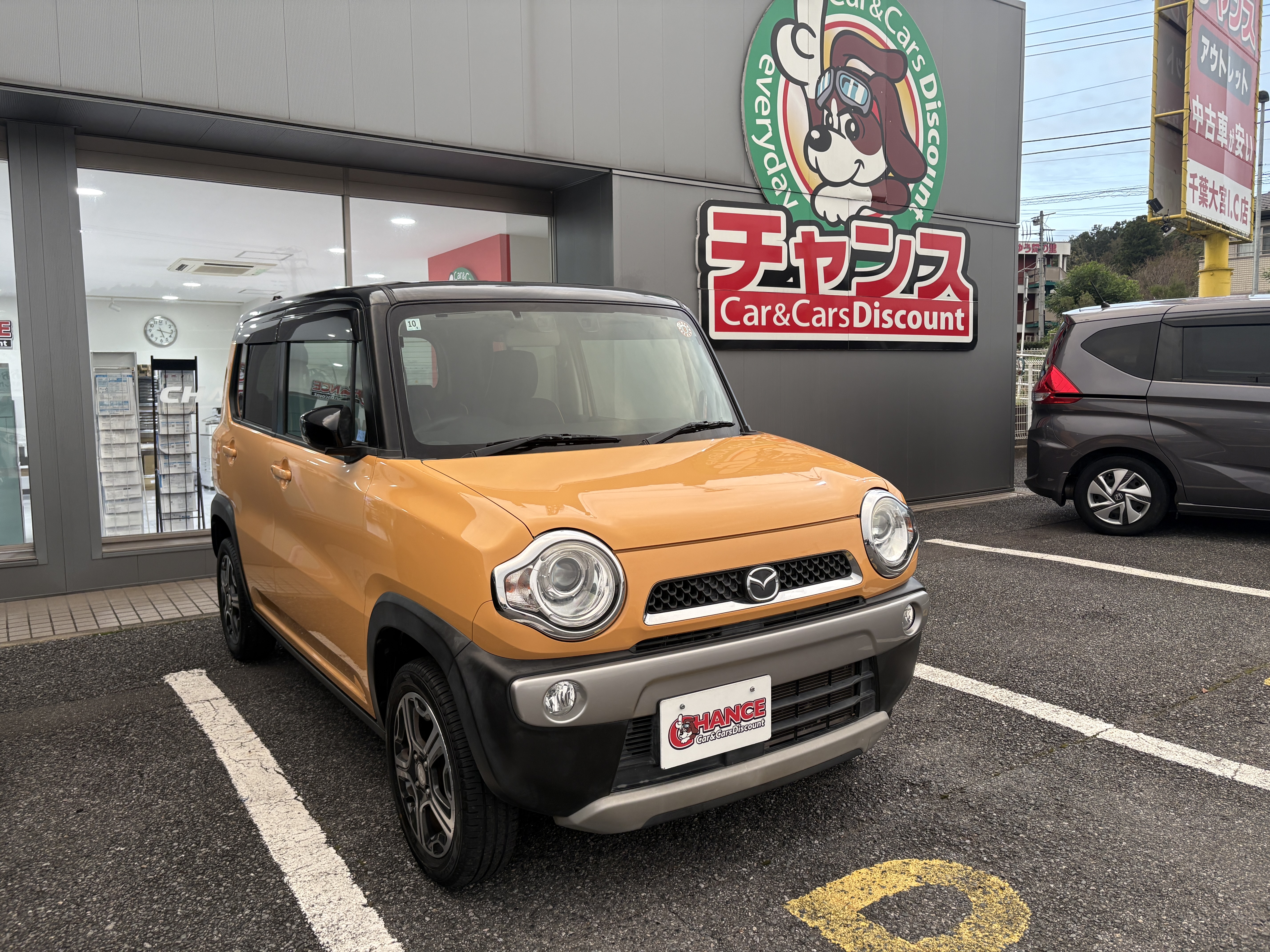 黄色の💛