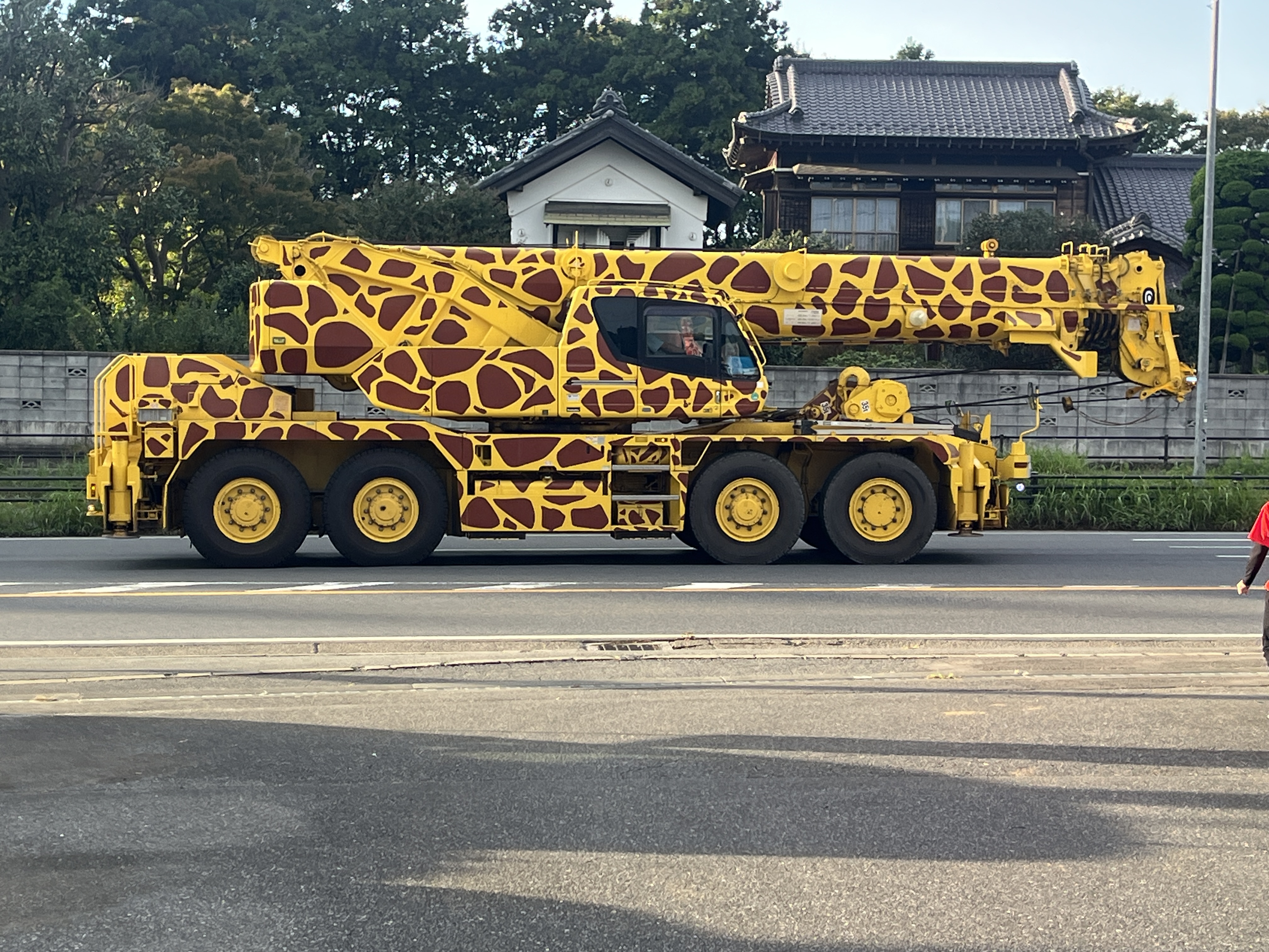 キリン🦒